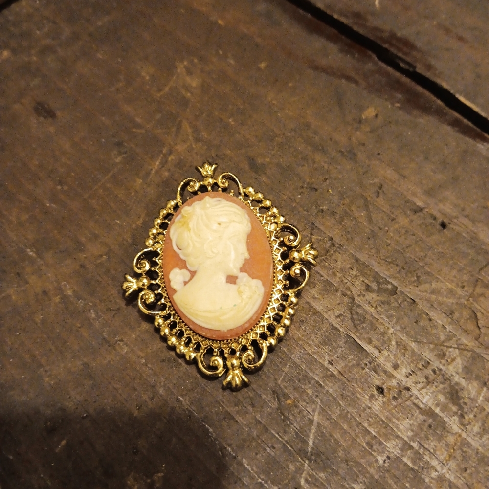 Vintage cameo brooch